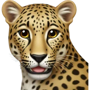 Leopard sticker