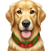 Golden retriever wearing Christmas clothes  sticker