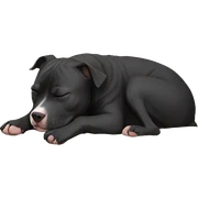  Black pit bull sleeping like a human  sticker