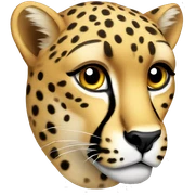 Cheetah  sticker