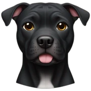Black pittbull sticker