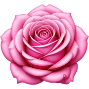 candy pink rose sticker