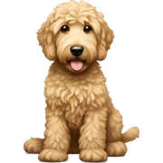 Goldendoodle  sticker