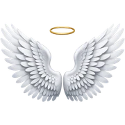 Angel wings sticker