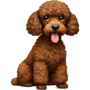 Brown Poodle sticker
