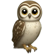 tiny owl sticker