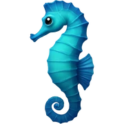 Seahorse  sticker