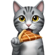 grey cat eating wingstop sticker