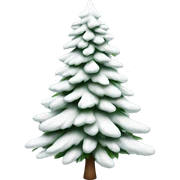  actual white fir christmas tree isolated.  sticker
