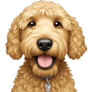 Golden doodle sticker