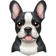 Frenchie  sticker