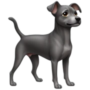 small-dark-grey-dog-standing-on-back-legs sticker