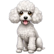 Mini poodle sticker
