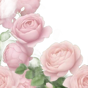 pale pink flower bouquet  sticker