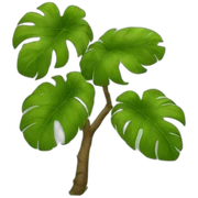 Selva sticker