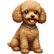 Toy-poodle sticker