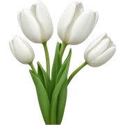 White tulips  sticker