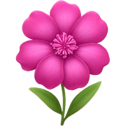 Pink  sticker