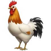 Pollo sticker