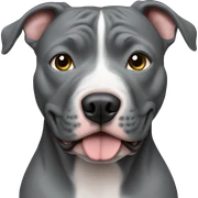 Gray Pitbull sticker