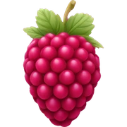Raspberry sticker