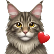 Maine coon holding a heart  sticker