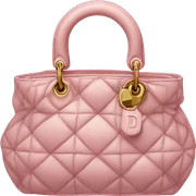 dior bag sticker