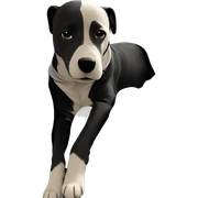 dog cozy under blanket sticker