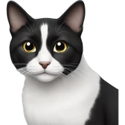 Black and white cat sticker
