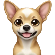 cihuahua biondo sticker