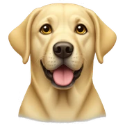 Yellow lab sticker