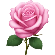 Pink rose sticker