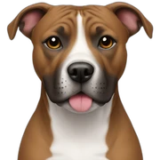 staffy sticker