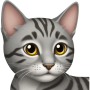 grey tabby cat sticker