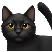 Black cat  sticker