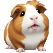 Guinea pig sticker