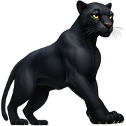 black panther  sticker