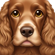 brown cocker spaniel sticker