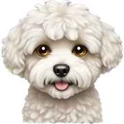 Maltipoo dog sticker