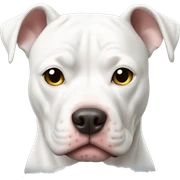 White pitbull sticker