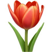 Tulips  sticker