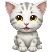 Kitten  sticker