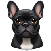 black french bulldog sticker