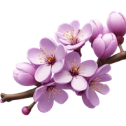 Cherry blossom in purple  sticker