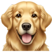 Golden retriever  sticker
