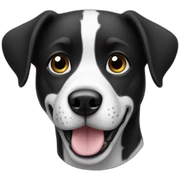 Dog black and white sticker
