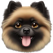 Black pomeranian sticker