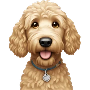 Golden doodle sticker