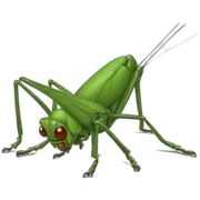 Cricket sticker