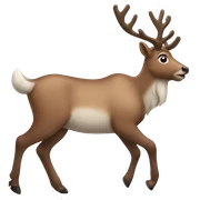 Reindeer  sticker